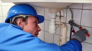 Best Plumbing System Maintenance  in French Island, WI